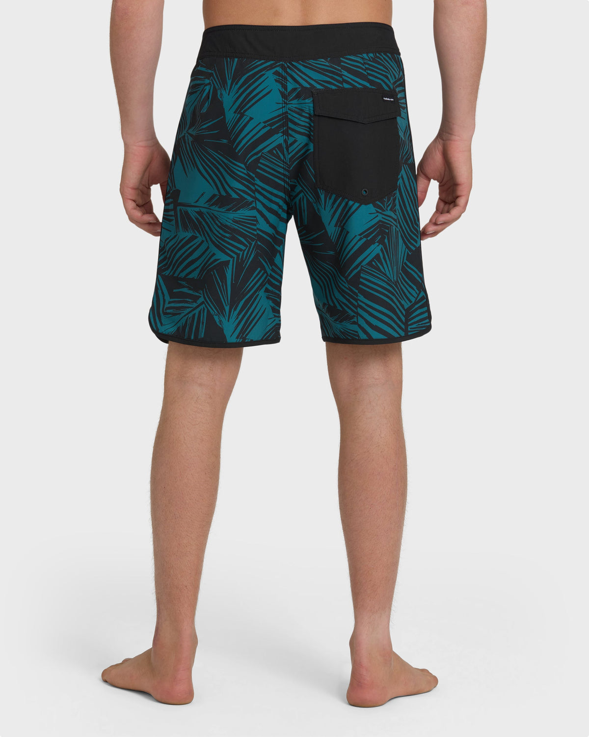 ARUBA-PALM-19-BLACK-2