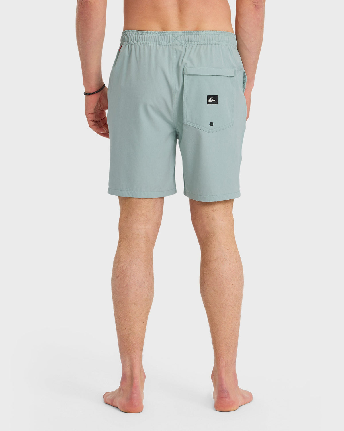 TAXER-HEATHER-AMPHIBIAN-18-BLUE-HAZE-2