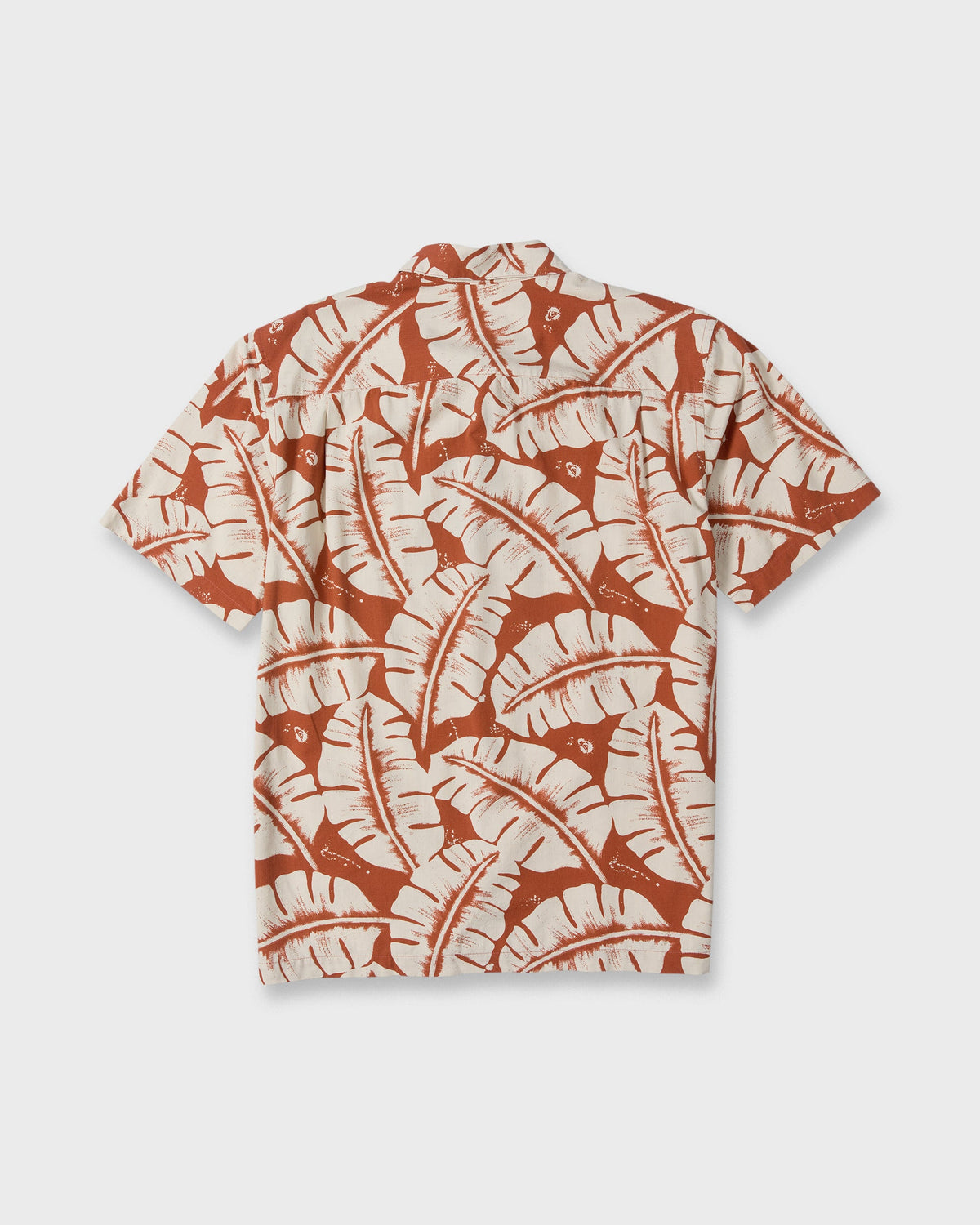 FRONDS-WM-SS-PICANTE-7