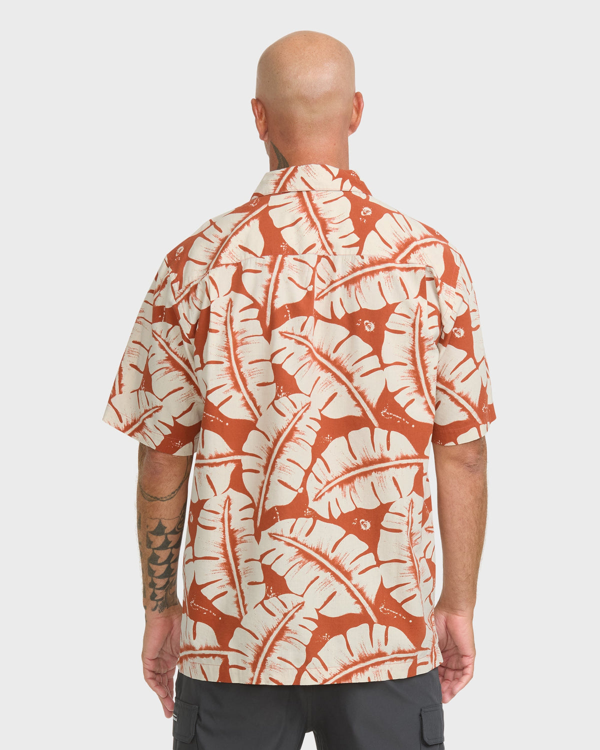 FRONDS-WM-SS-PICANTE-2