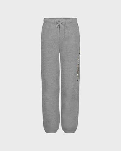Gray sweatpants with a drawstring on a white background