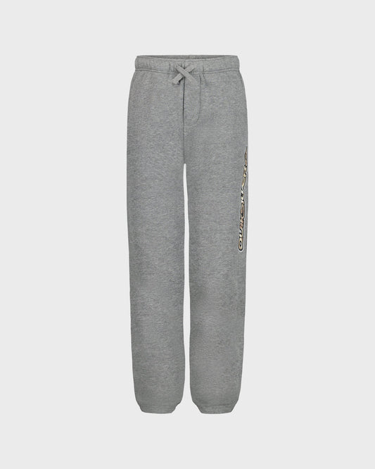 Gray sweatpants with a drawstring on a white background
